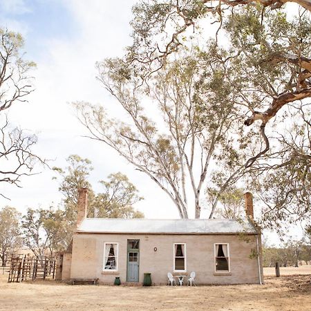 Ravenswood Homestead Luaran gambar