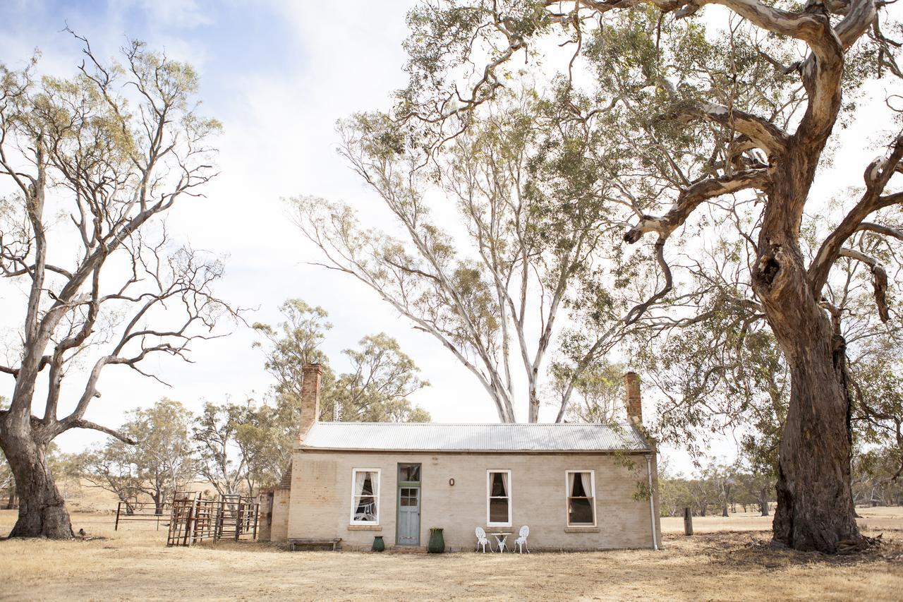 Ravenswood Homestead Luaran gambar