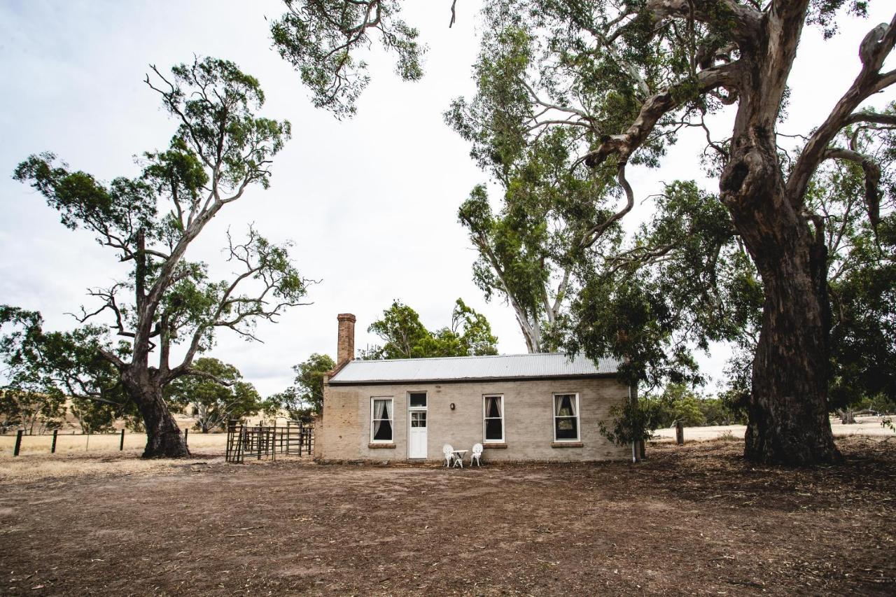 Ravenswood Homestead Luaran gambar